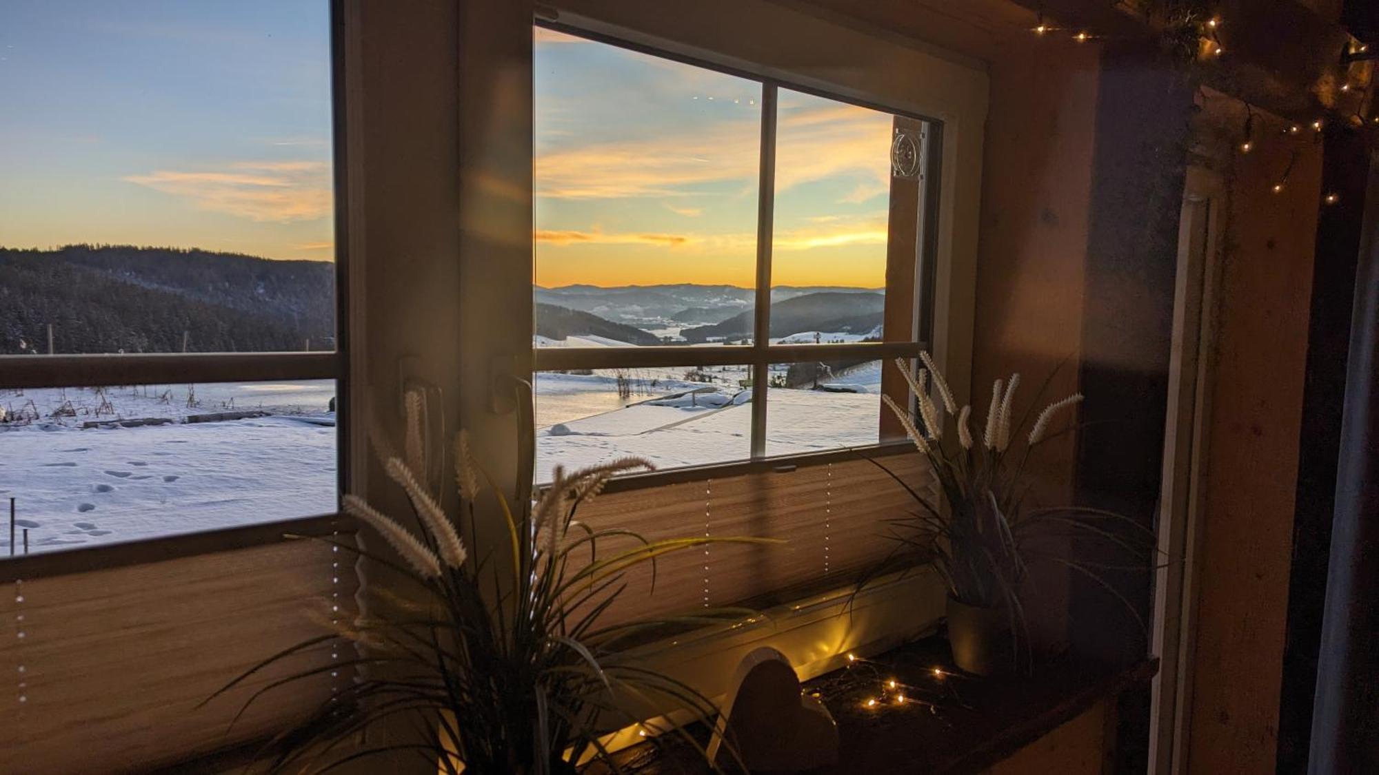 Haberjockelshof Erlebnishof Apartamento Titisee-Neustadt Exterior foto