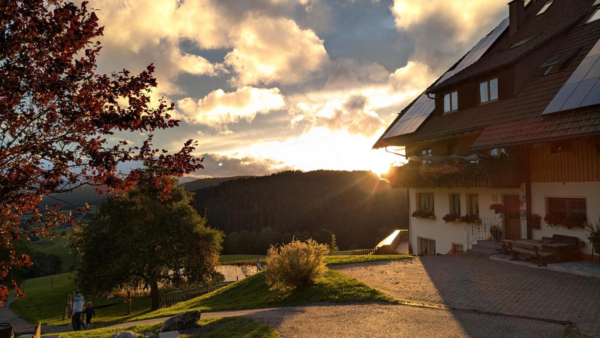 Haberjockelshof Erlebnishof Apartamento Titisee-Neustadt Exterior foto